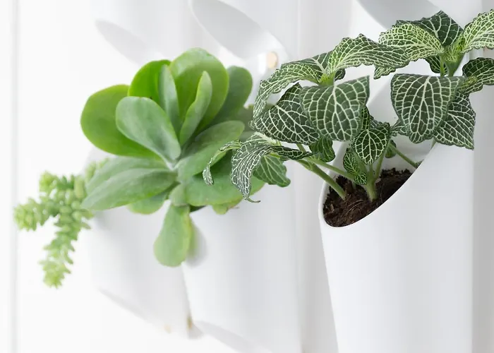 Biasanot Mini 3* 볼로냐