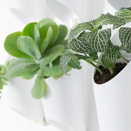 Biasanot Mini 3* Bologne